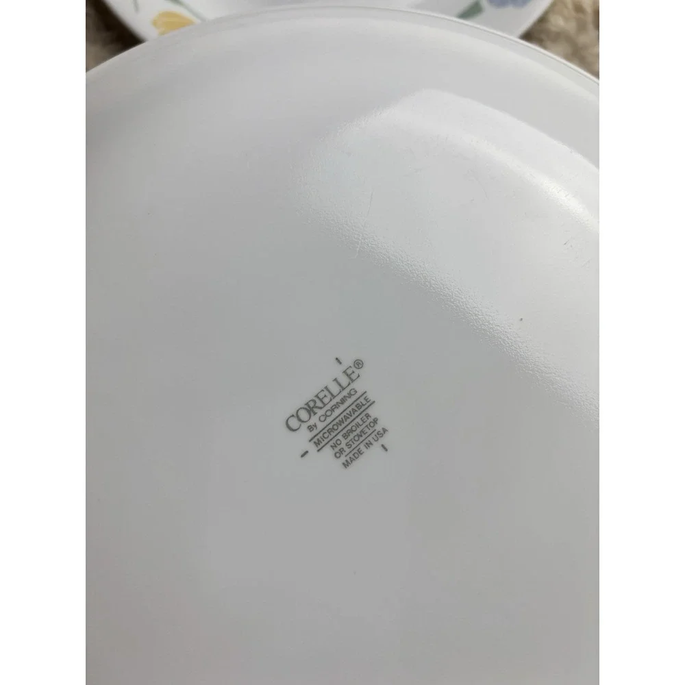 Corelle‎ Friendship Dinner Plates 10.25